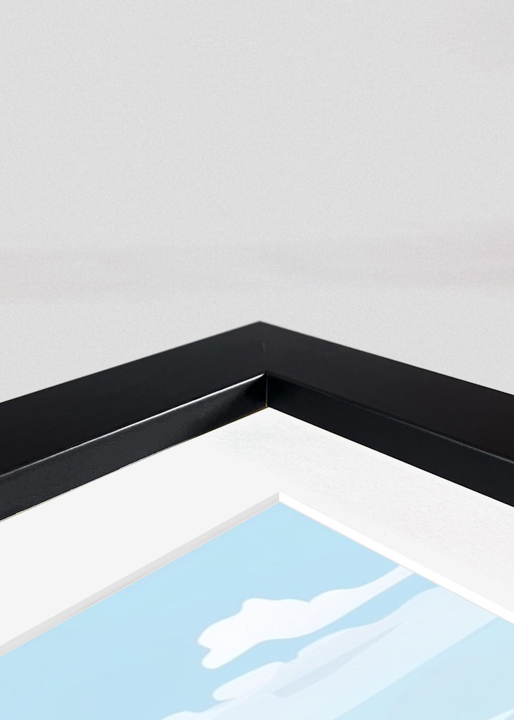 Den Lille Havfrue Betragter