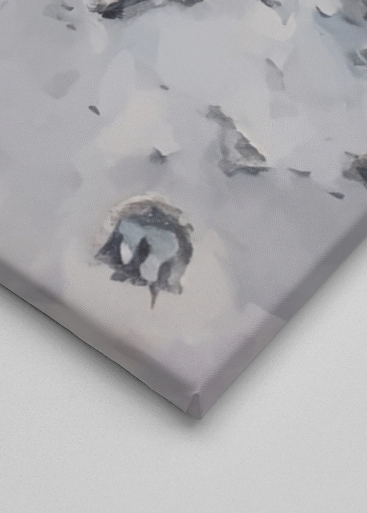 Strandhundar/Beach dogs