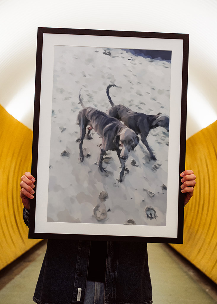 Strandhundar/Beach dogs