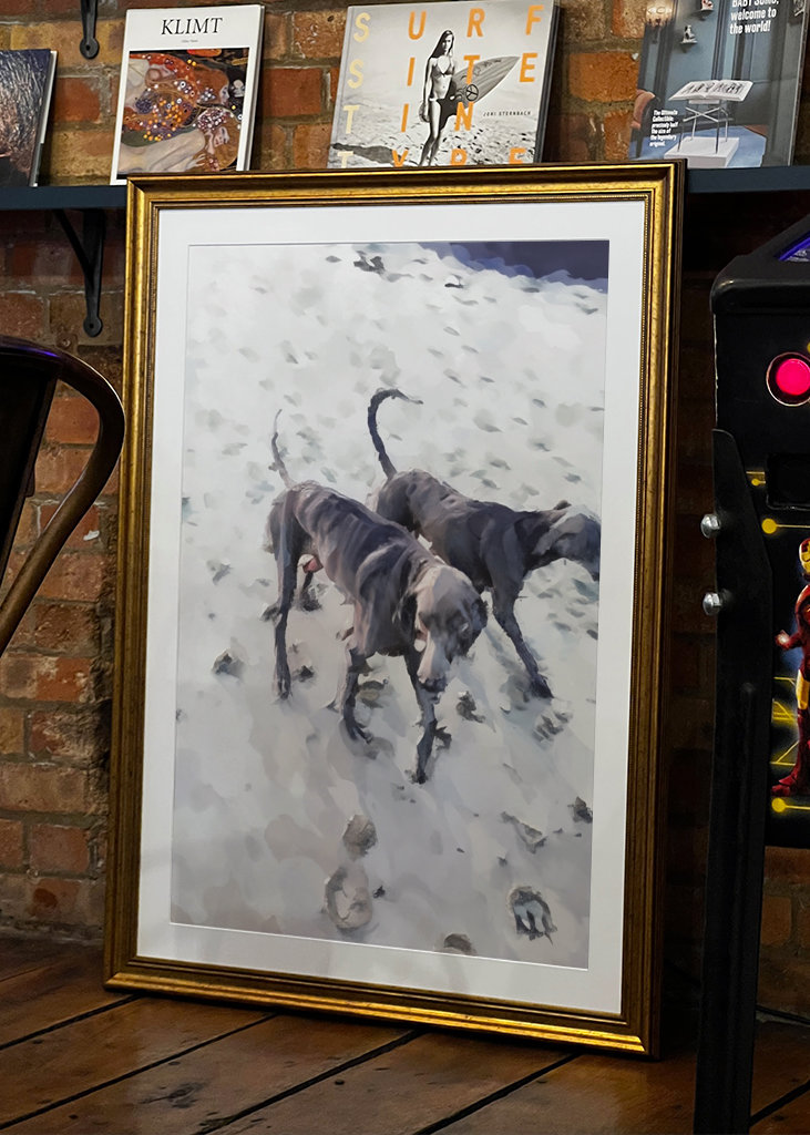 Strandhundar/Beach dogs