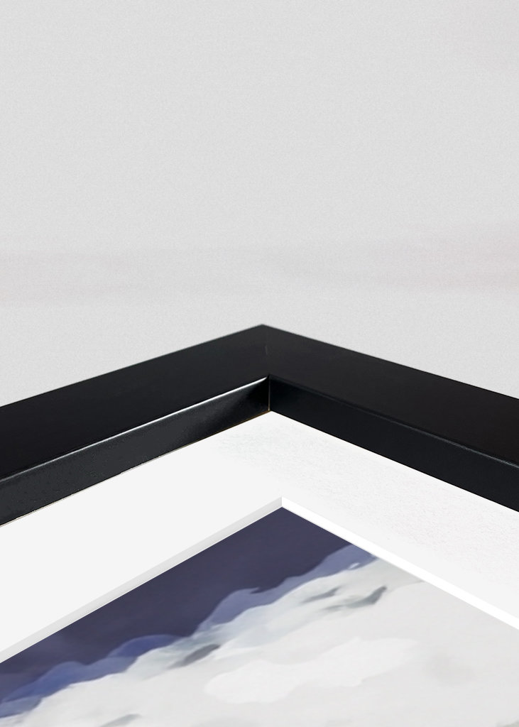 Strandhundar/Beach dogs