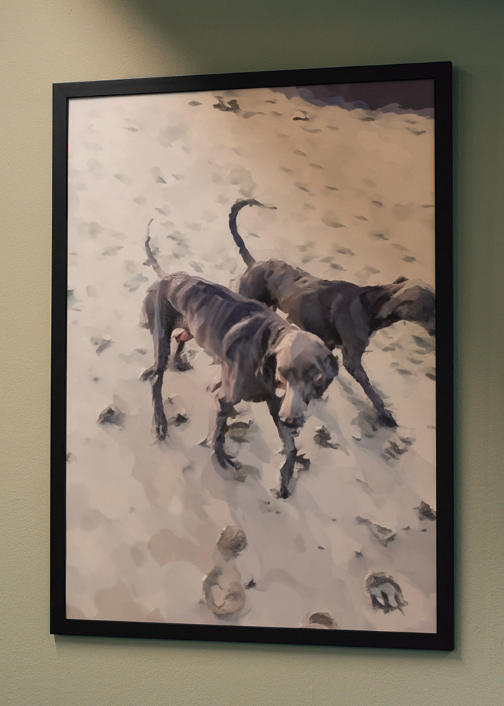 Strandhundar/Beach dogs