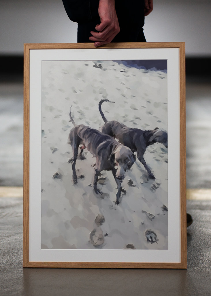 Strandhundar/Beach dogs
