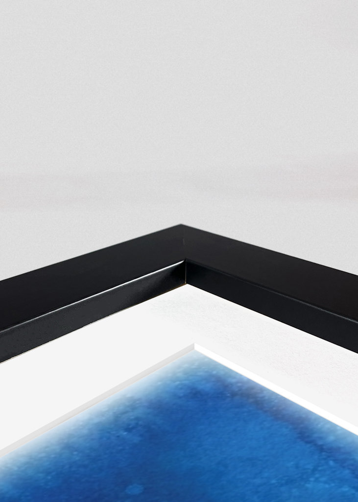 Blue Neon Seahorse Creature