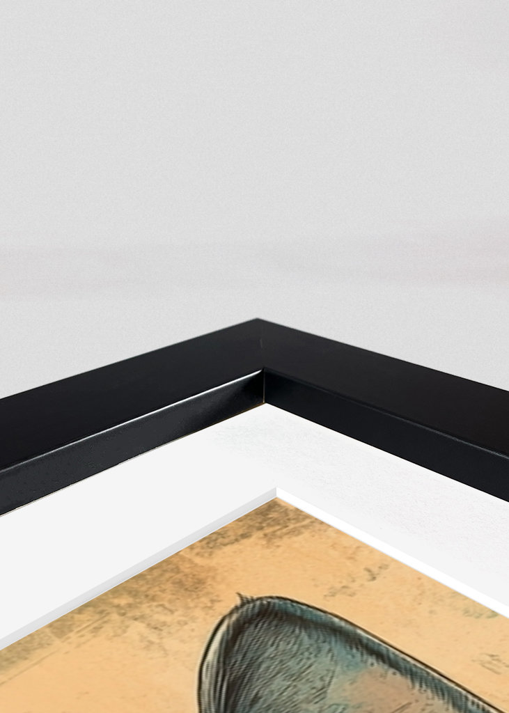 Póster de estilo de vida de Cool Cat