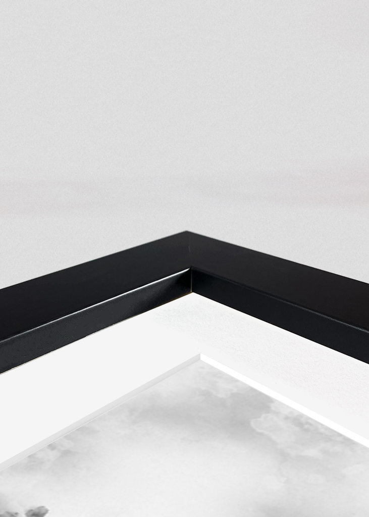 Micky Mouse Perfectum