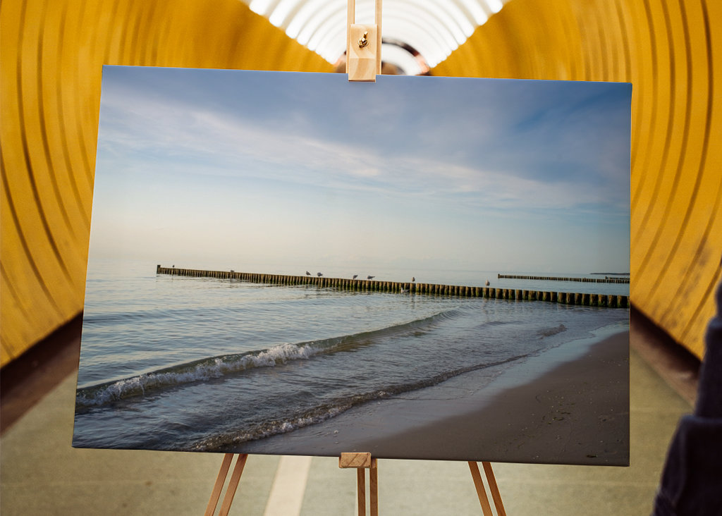 Baltic Sea beach with groynes