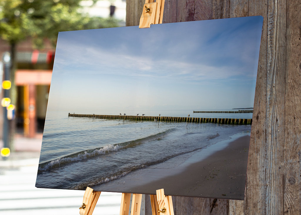 Baltic Sea beach with groynes