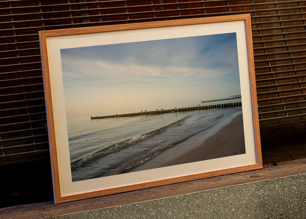 Baltic Sea beach with groynes