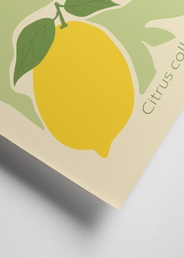 Lemons - Flower Market