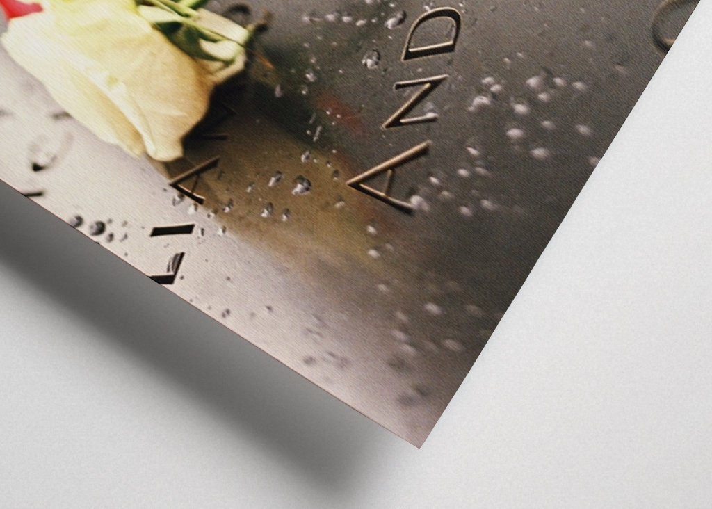 Roses on 9/11 memorial pool NY