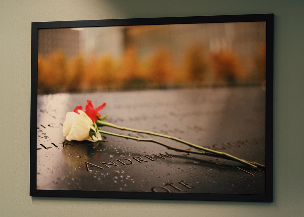 Roses on 9/11 memorial pool NY