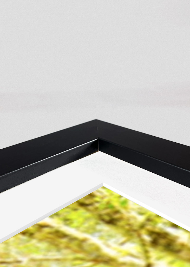 Cimetière des voitures