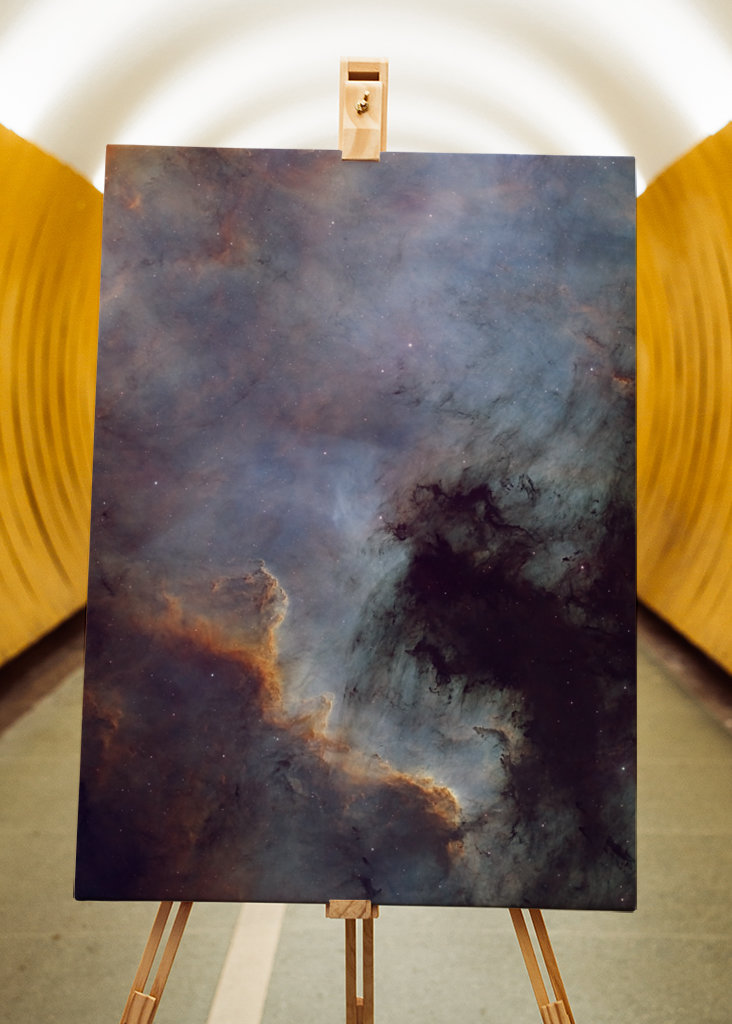 Pohjois-Amerikan sumu