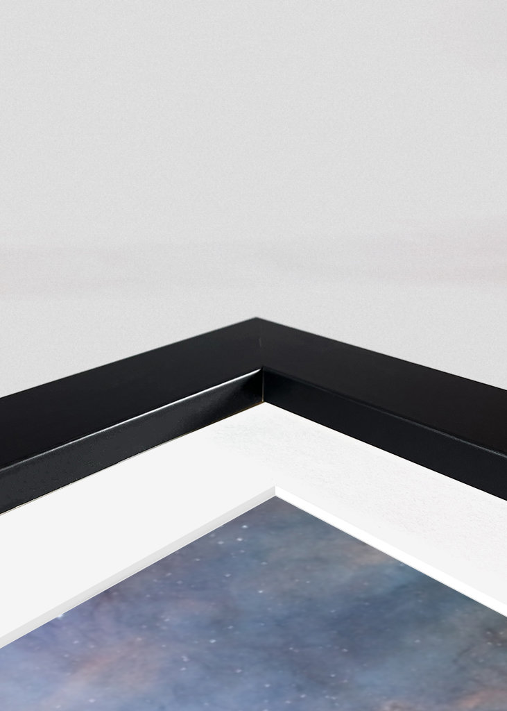 Pohjois-Amerikan sumu