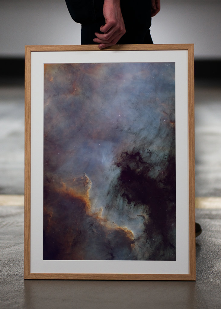 Pohjois-Amerikan sumu