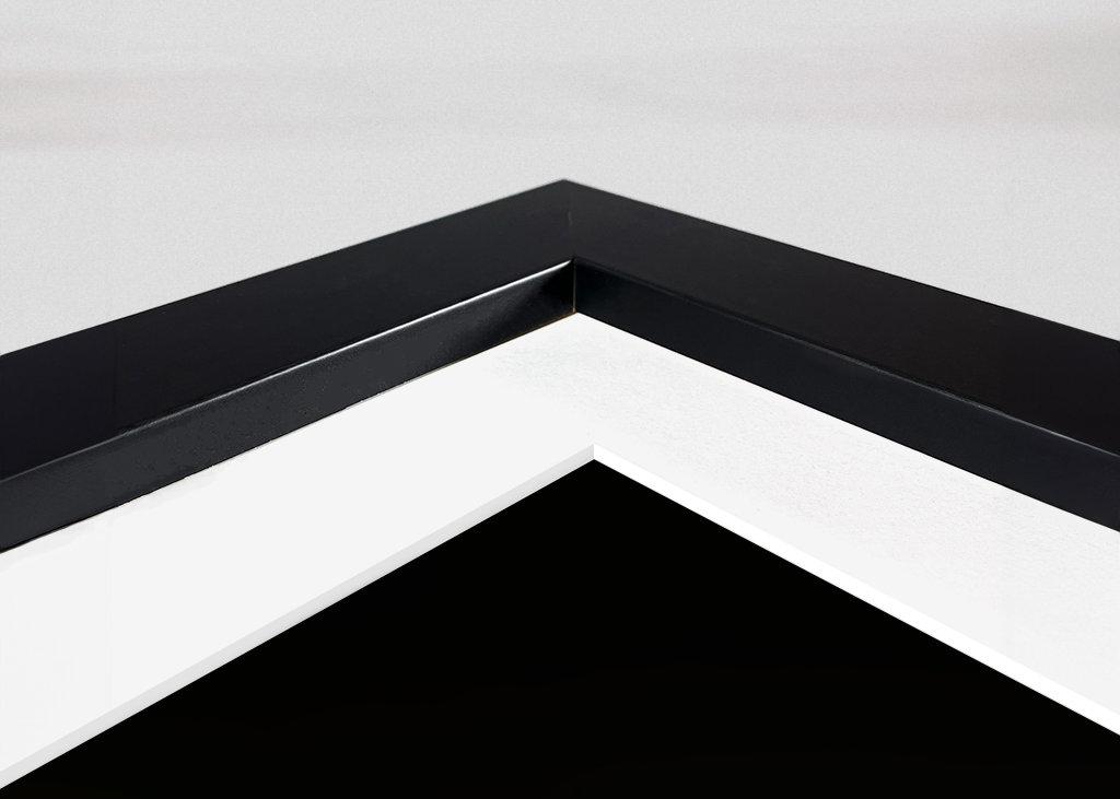 Martin-pêcheur en vol 