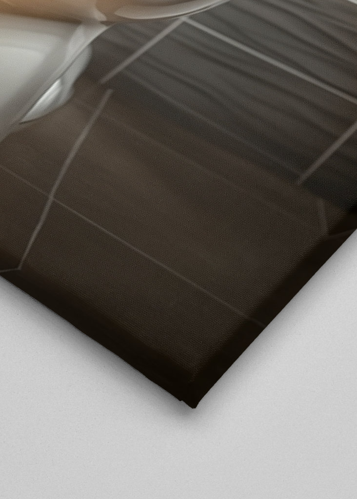 King Charles Spaniel on Toilet