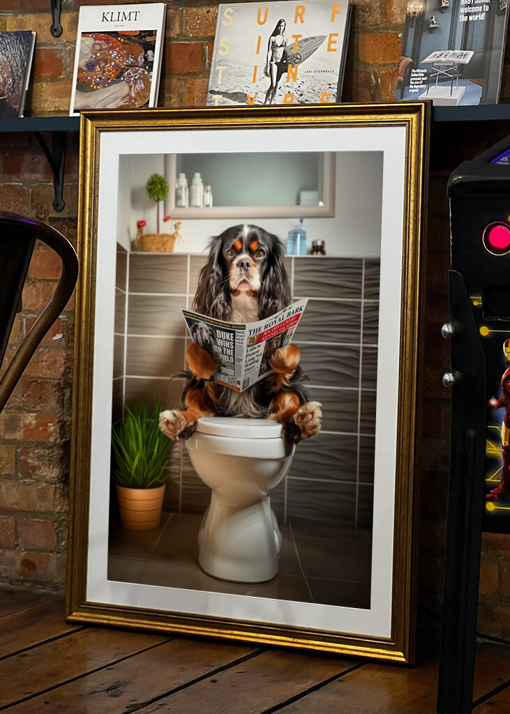 King Charles Spaniel on Toilet