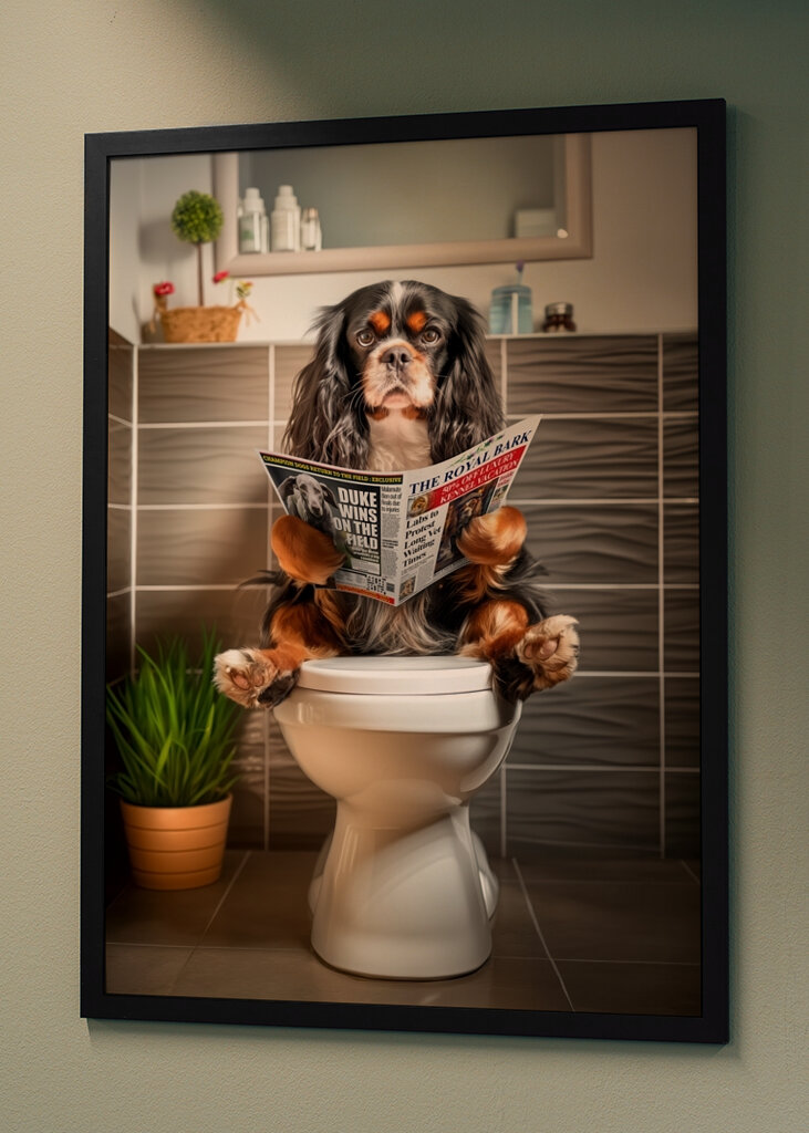King Charles Spaniel on Toilet