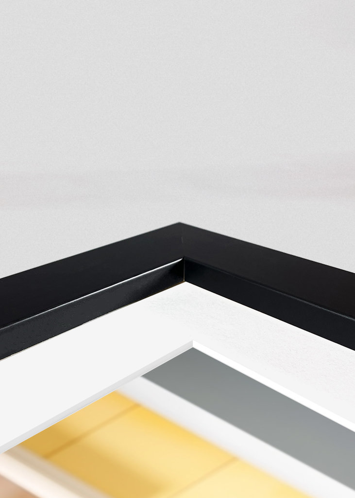 Černá kočka na záchodě