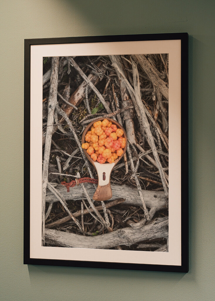 Multebær, skovens guld