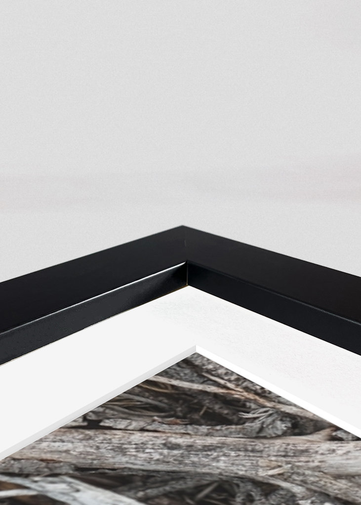 Multebær, skovens guld