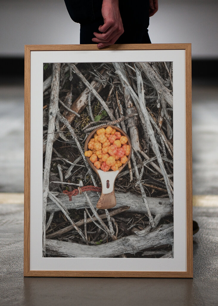 Multebær, skovens guld