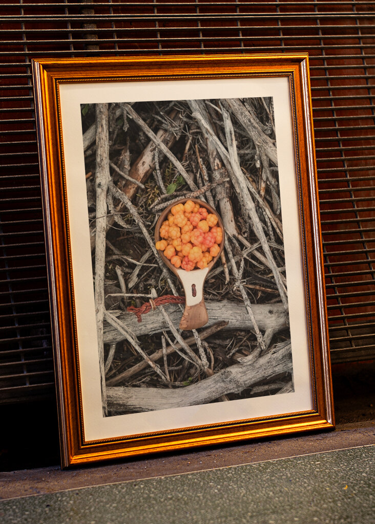 Multebær, skovens guld