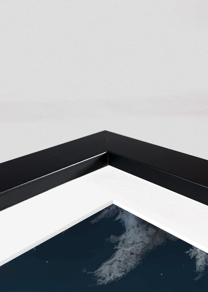 Bílý vlk s měsícem