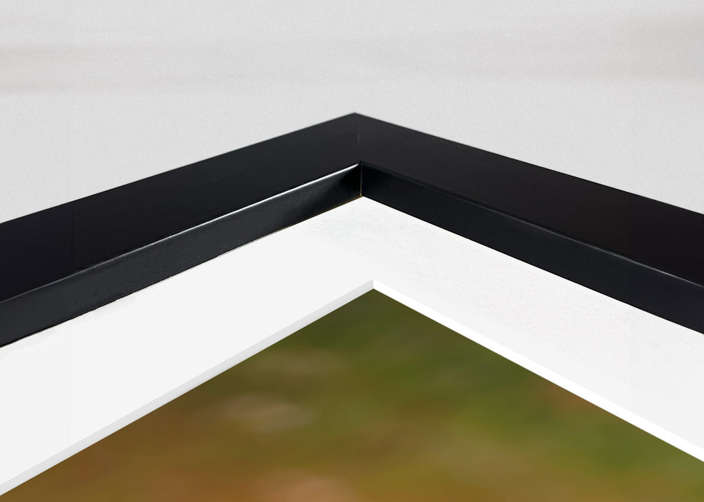 Makové pole při západu slunce