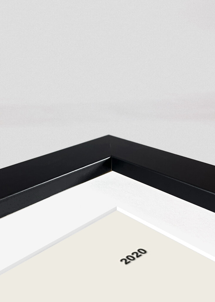 Honda Civic Type R Limitiert