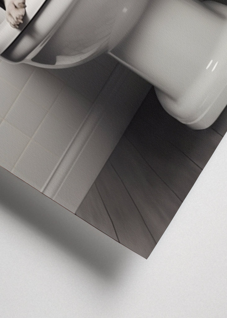 Boston Terrier on the Toilet