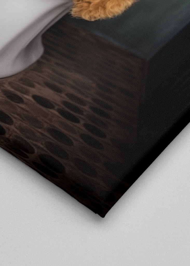 Airedale teriér na záchodě