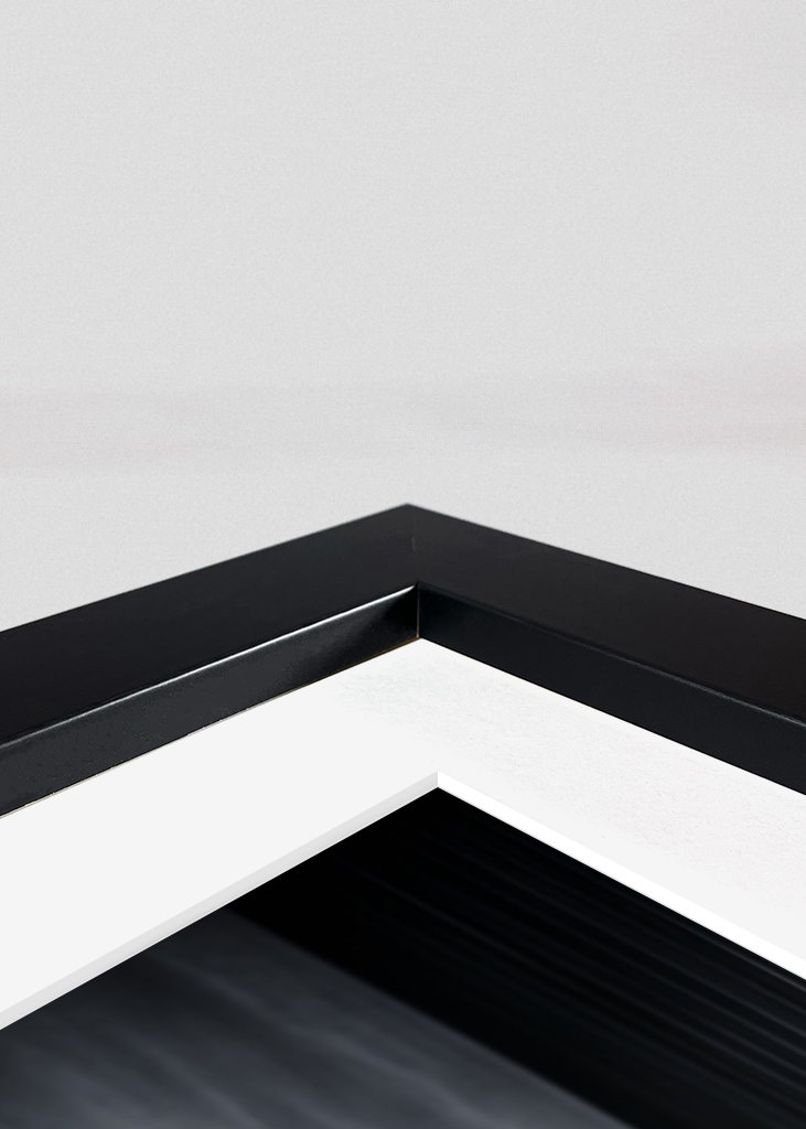 Airedale teriér na záchodě