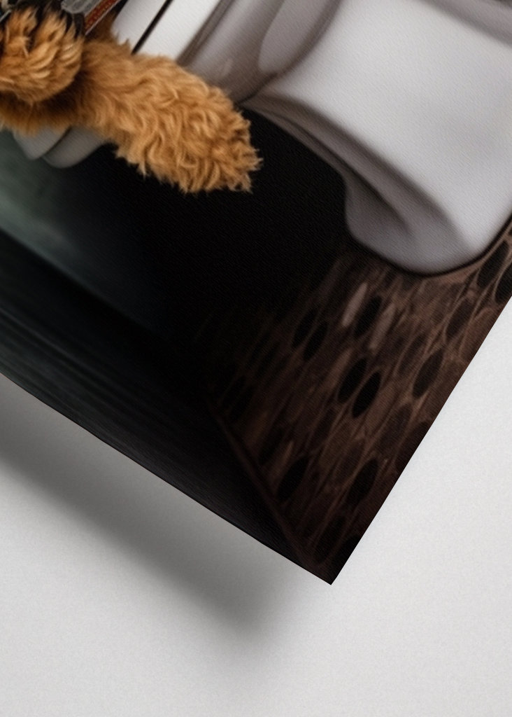 Airedale teriér na záchodě