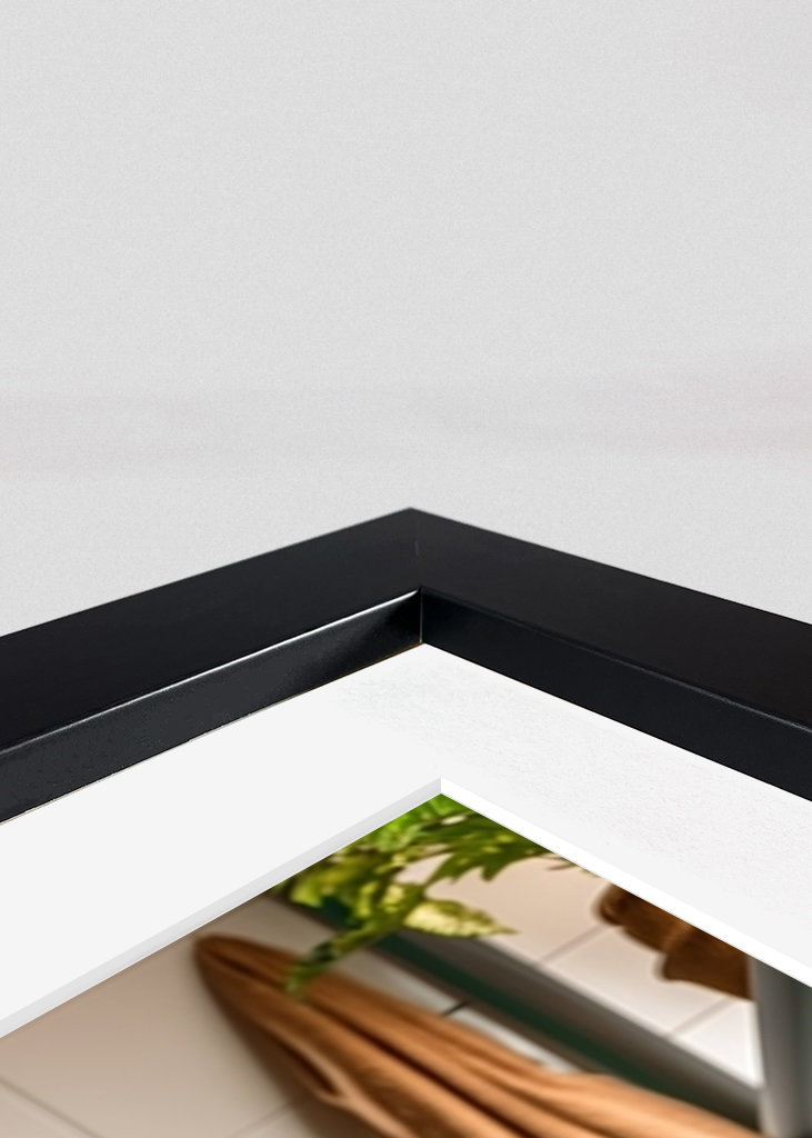 Jorkšírský teriér na záchodě