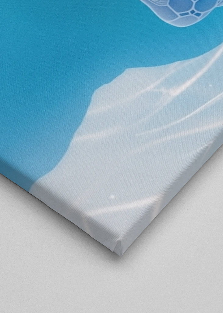 Photograph Green Sea Turtle