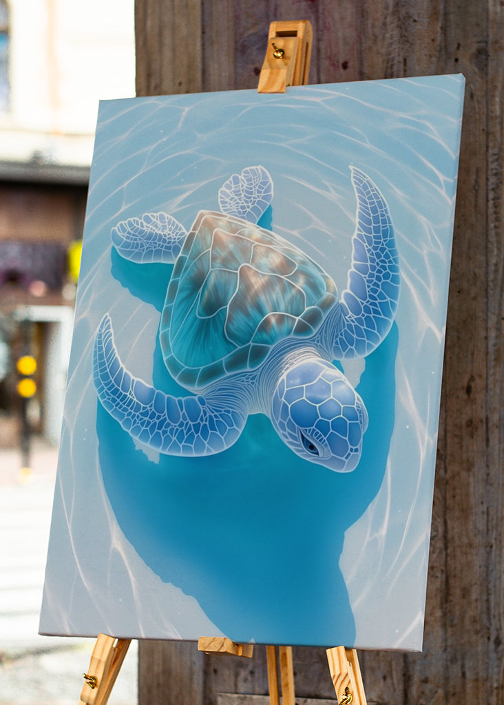 Photograph Green Sea Turtle