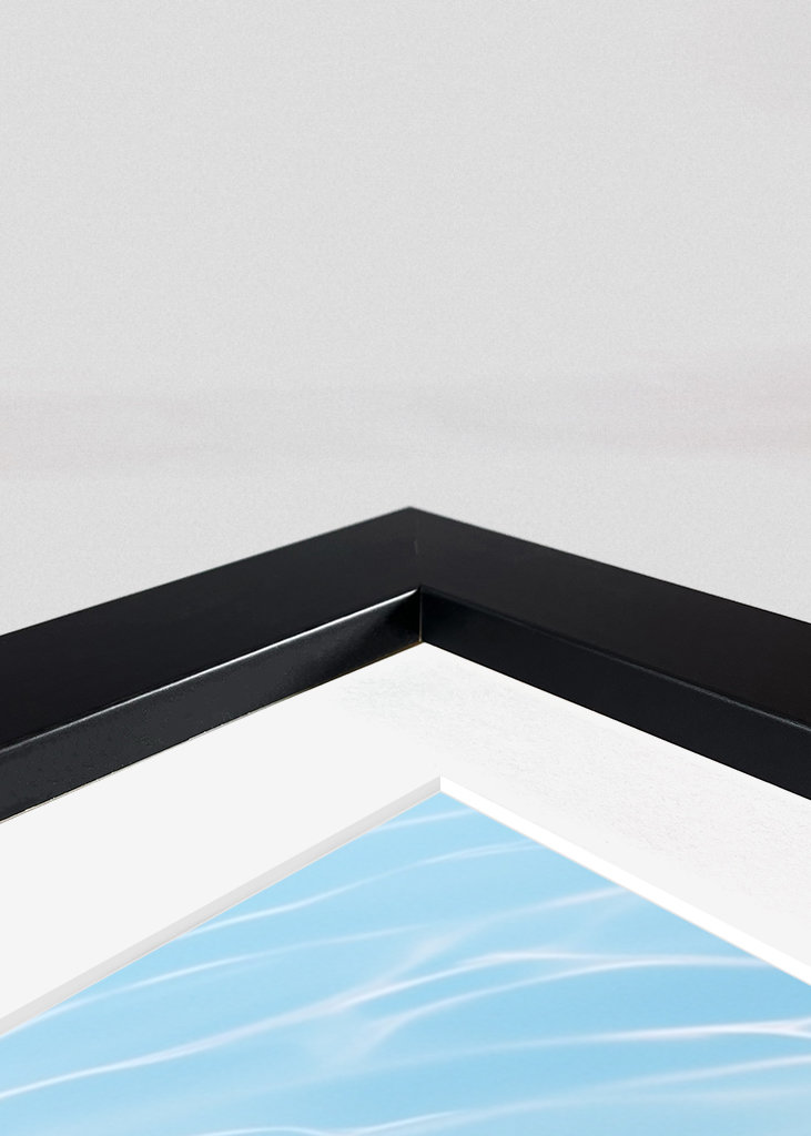 Photograph Green Sea Turtle