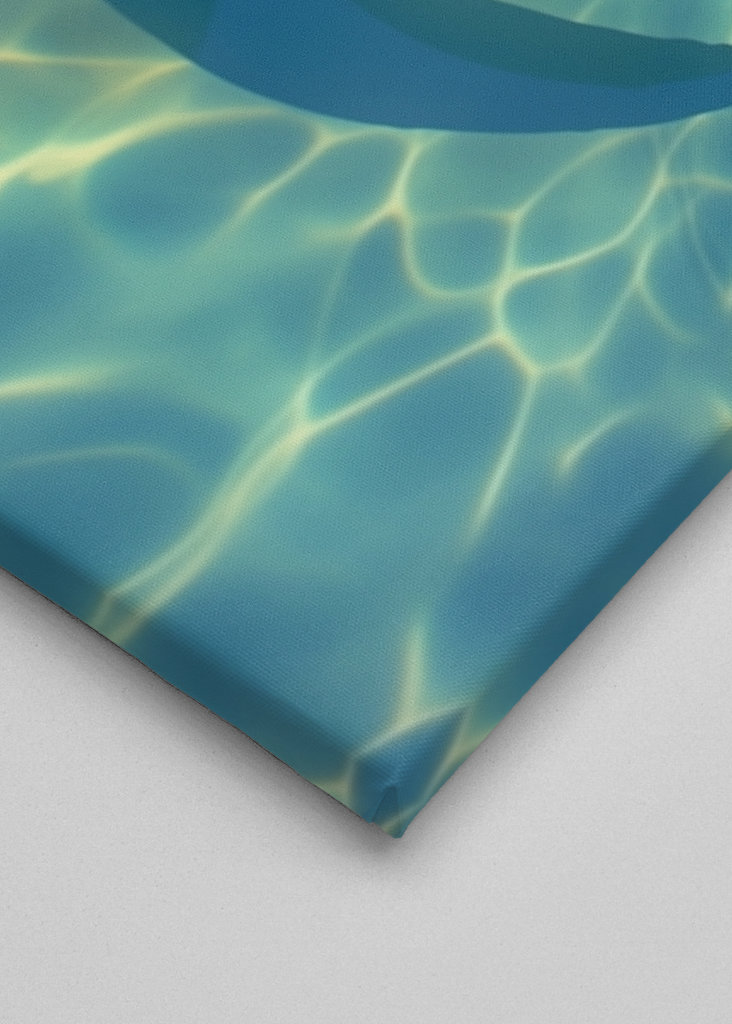 Green Sea Turtle Photograph