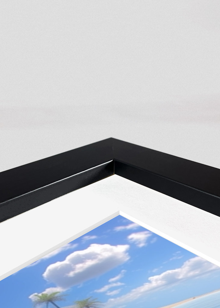 Green Sea Turtle Photograph