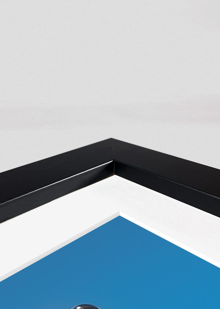 Foto Orcinus Orca Jump