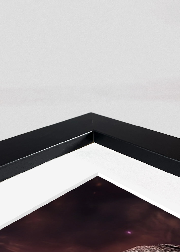 Tyrannosaurus Rex Dinosaurier