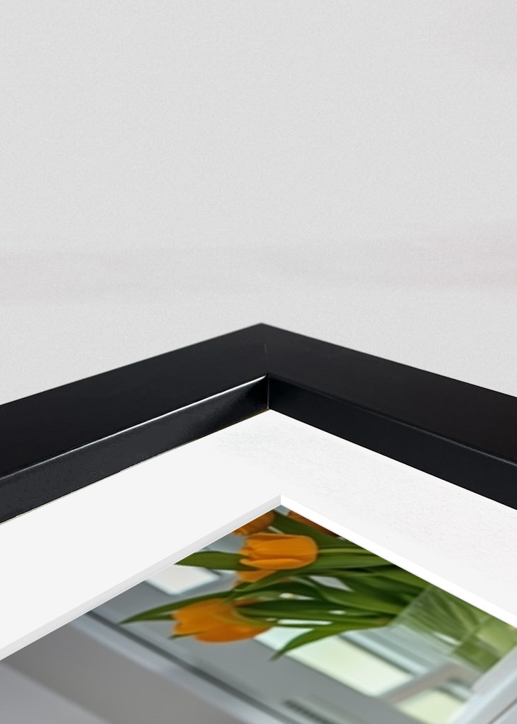 Ridgeback na záchodě