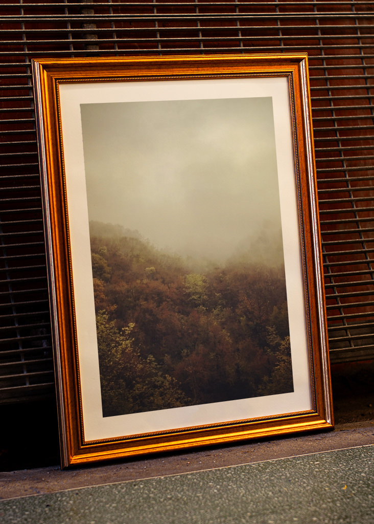 Brouillard d’automne