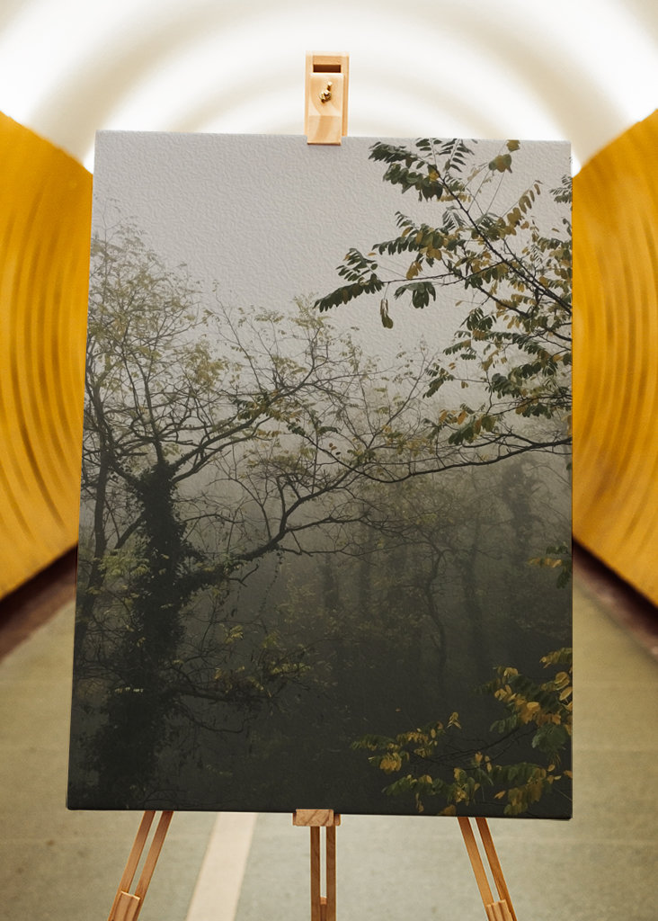 Je kunt me niet zien