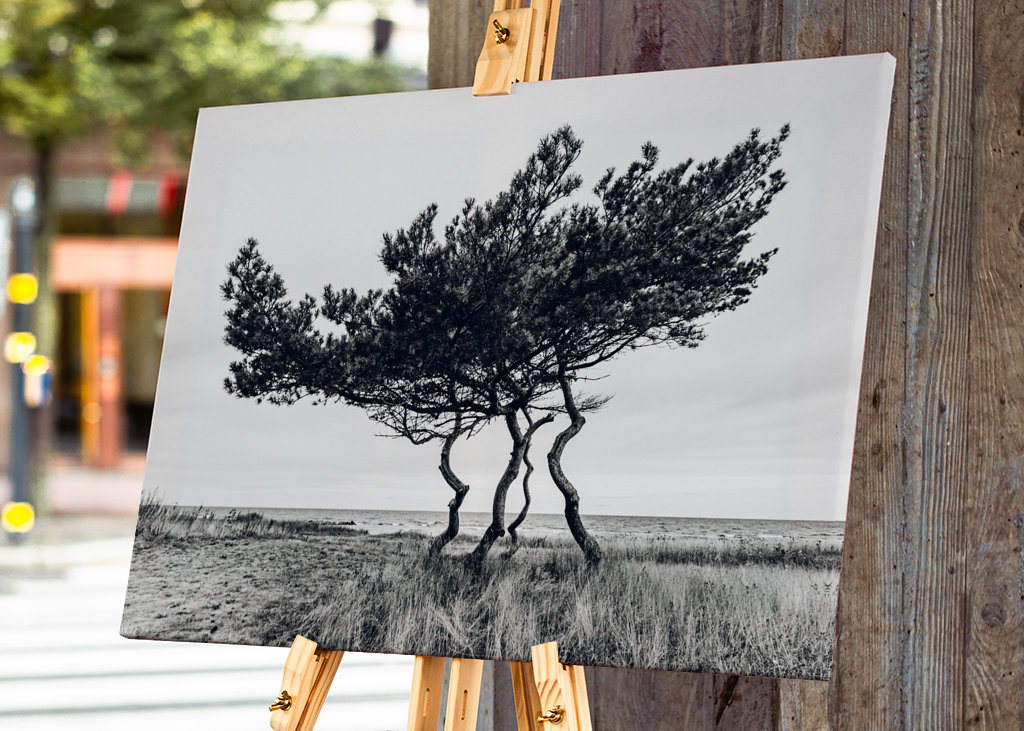 Drzewo genealogiczne