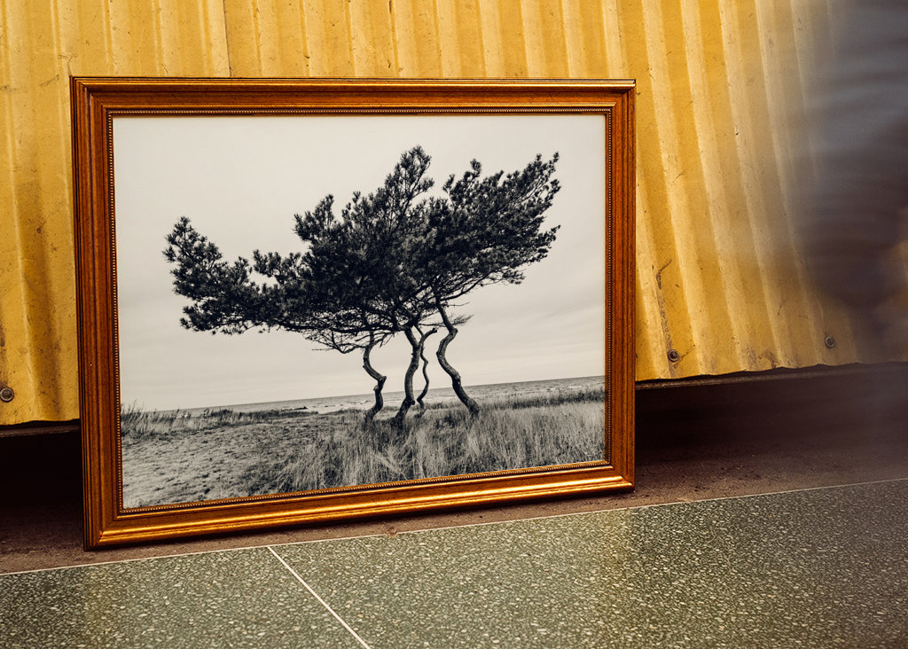 Drzewo genealogiczne