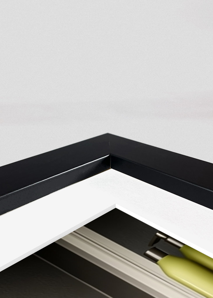 Cocker Spaniel on the Toilet